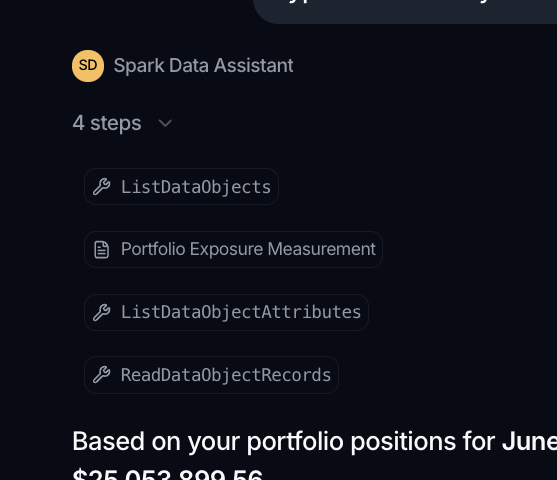 An agent answer whose steps summary includes a loaded skill alongside its tool calls.