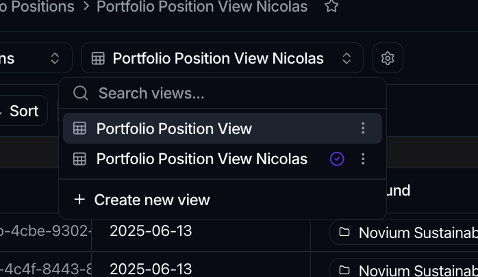 The view selector open over the record grid, listing two views with the active one checked, above a Create new view button.