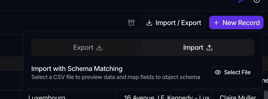 The Import / Export popover on the Import tab, showing Import with Schema Matching and a Select File button.